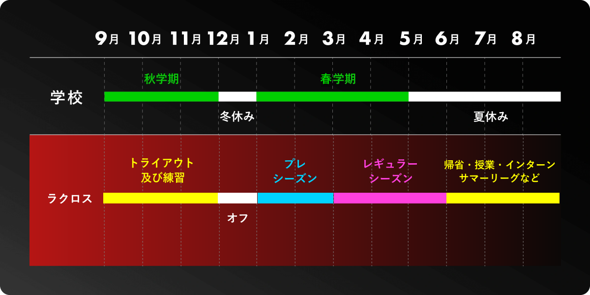 年間スケジュール