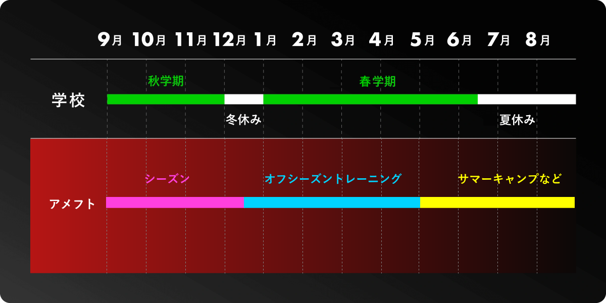 年間スケジュール