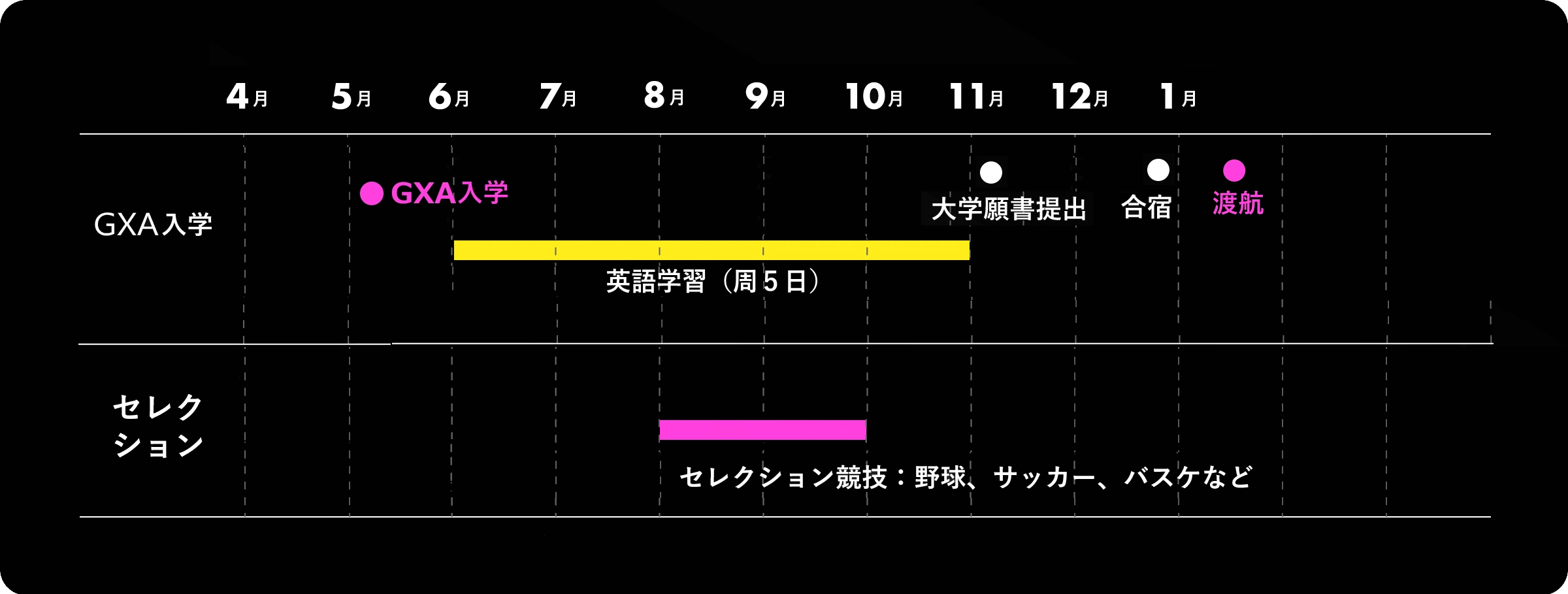 8月に海外の大学に入学する場合